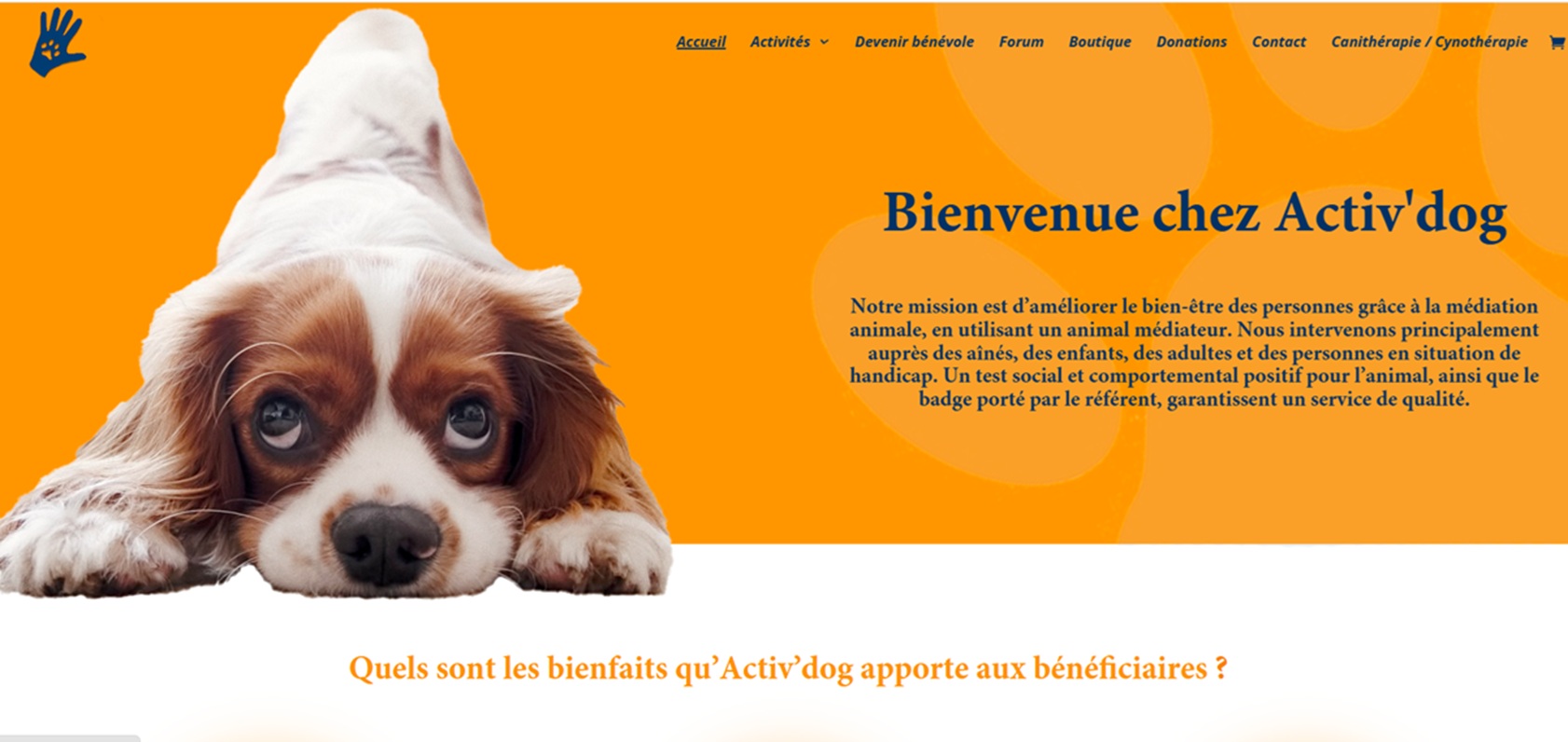 Activdog